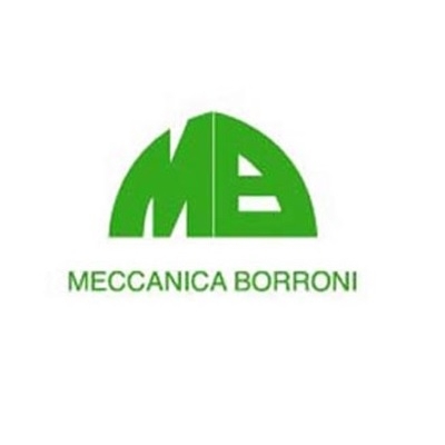 Meccanica Borroni