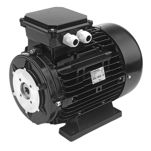 HS SERIES  - 3phase - NICOLINI - Three phase electric motors with hollow shaft